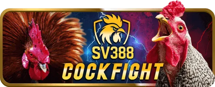 Hoàn Trả Hàng Ngày go88